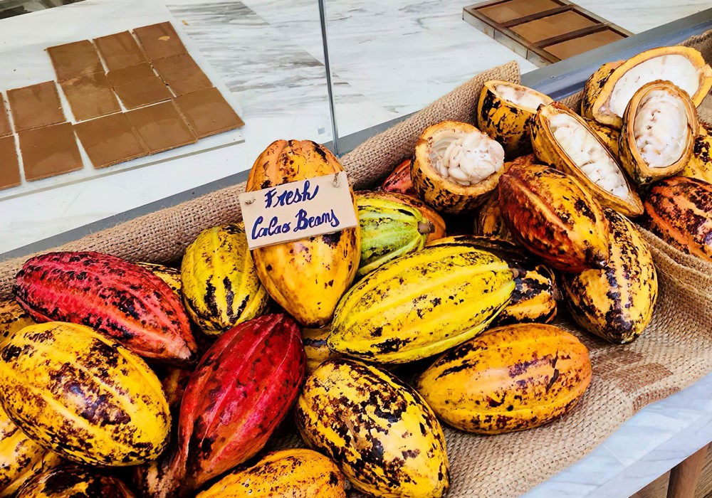 cacao